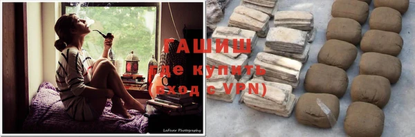 стафф Ельня