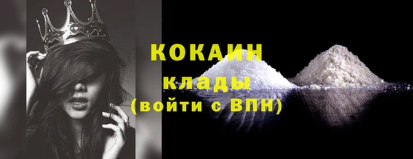 стафф Ельня