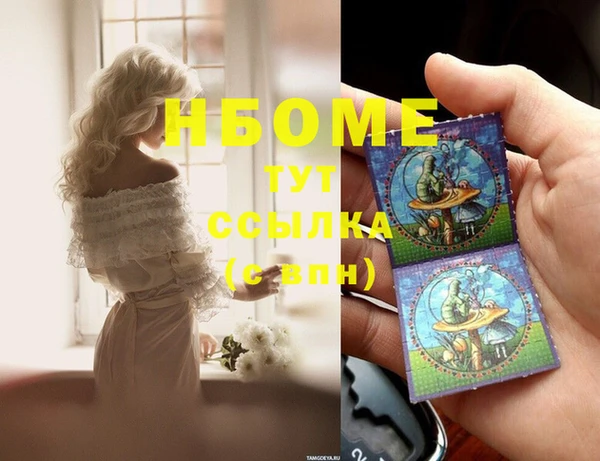 стафф Ельня