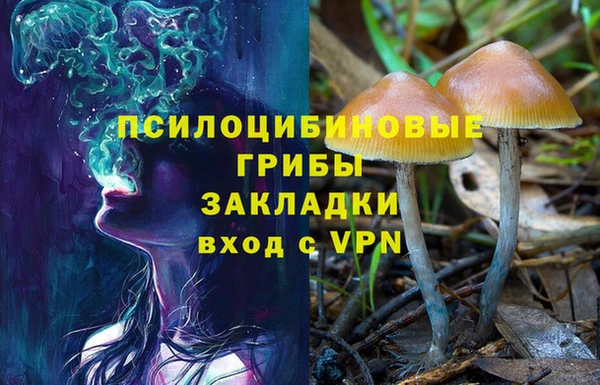 стафф Ельня