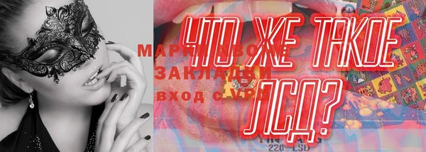 стафф Ельня