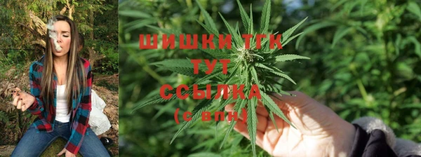 мескалин Дмитриев