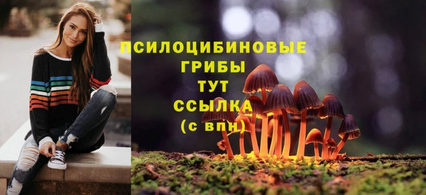 МДМА Дмитровск