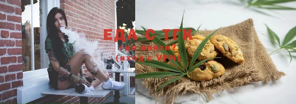 стафф Ельня