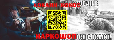 гашик Кунгур