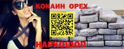 гашик Кунгур