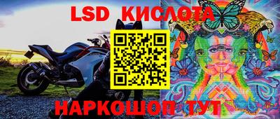 гашик Кунгур