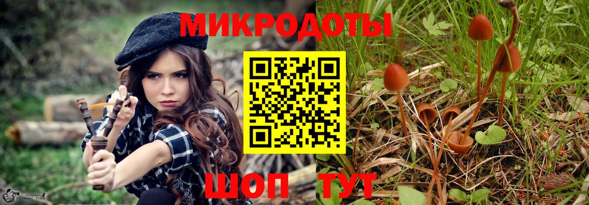 Галлюциногенные грибы ЛСД Советская Гавань