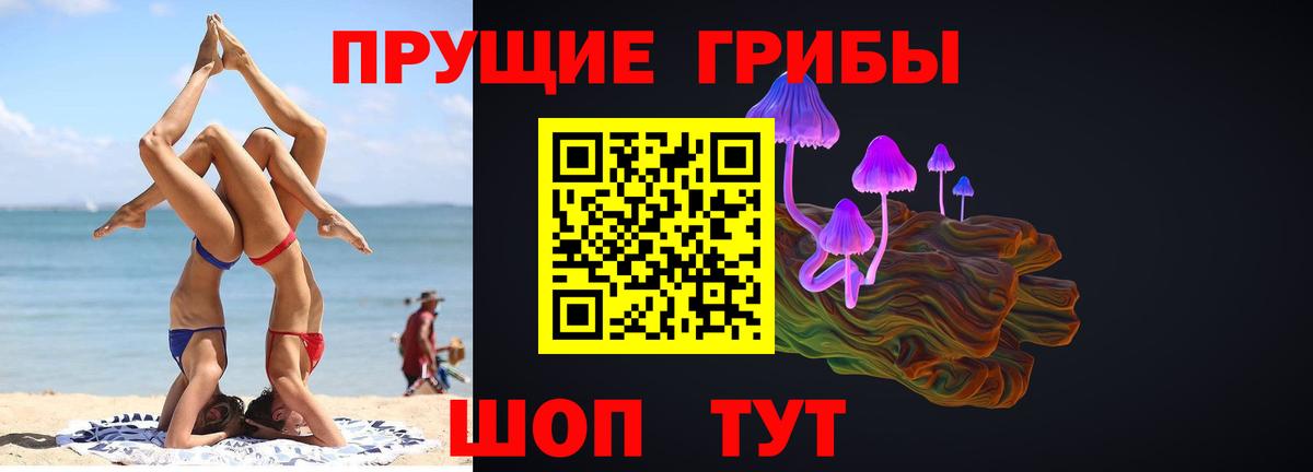 Советская Гавань  Псилоцибиновые грибы Psilocybine cubensis  Вход с VPN  сколько стоит  Псилоцибиновые грибы MAGIC MUSHROOMS 